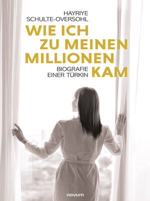 cover image of Wie ich zu meinen Millionen kam